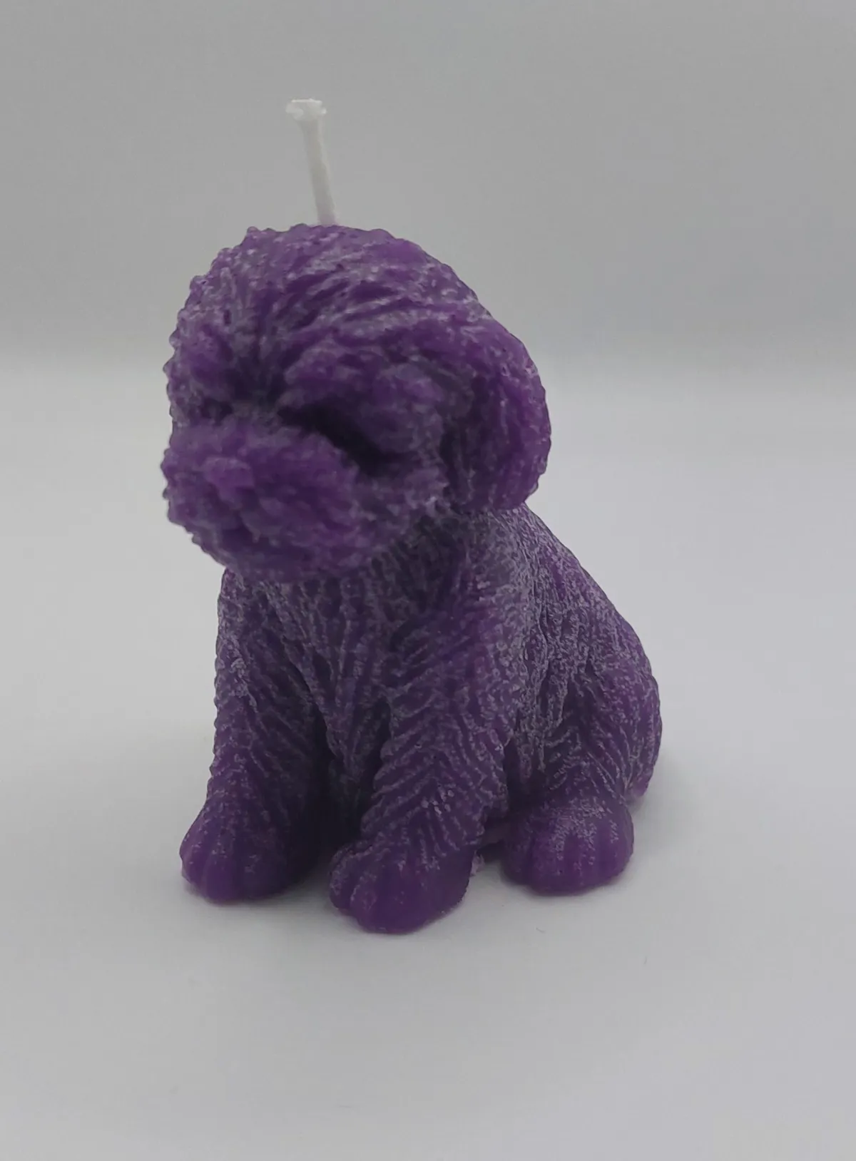 Extra afbeelding van Hond